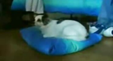 లిబర్టైన్స్ కాక్ తో బట్టతల ఉంటాయి, హిందీ తెలుగు సెక్స్ వీడియో కాదు బరువు.