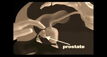 సెక్యూరిటీ గార్డ్ మరియు ఒక దుకాణదారుడు యొక్క మొదటి సెక్స్. కన్నడ తెలుగు సెక్స్ వీడియో