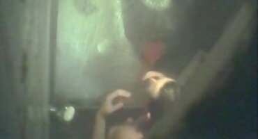 రష్యన్ అందం గాడిద లో ఫక్. సెక్స్ వీడియో కన్నడ తెలుగు ఉదయాన్నే సెక్స్.