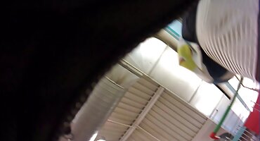 ఒక బట్టల దుకాణంలో పుస్సీ నెట్టడం. తెలుగు సెక్స్ వీడియో సాంగ్